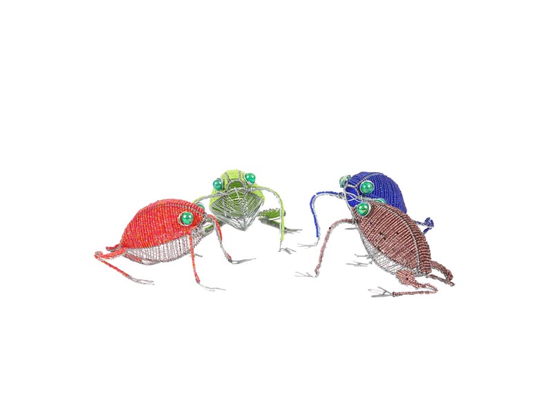 Allsorts Collection Frog Allsorts Collection Frog