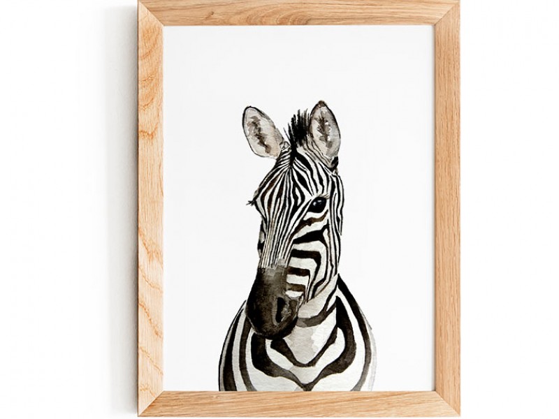 Water Colour Zebra Foal Print 
