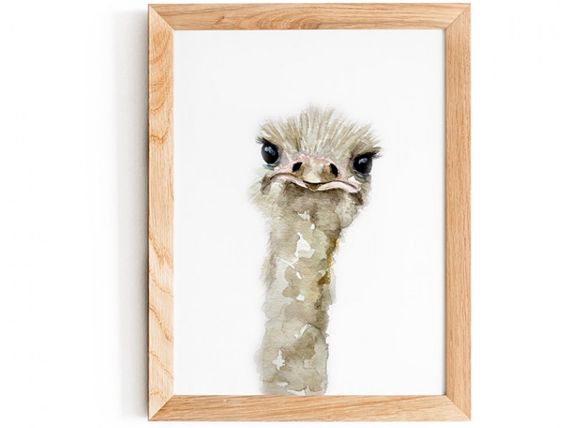Water Colour Ostrich Print 
