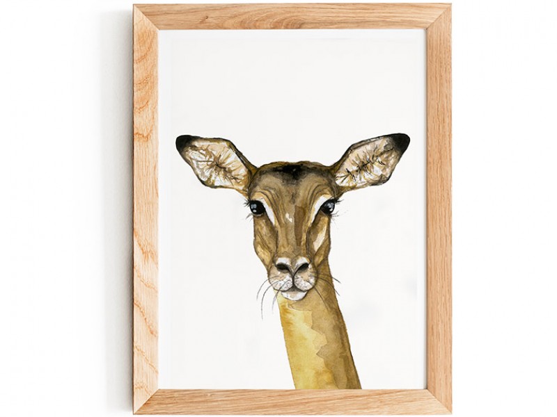 Water Colour Baby Impala Print 