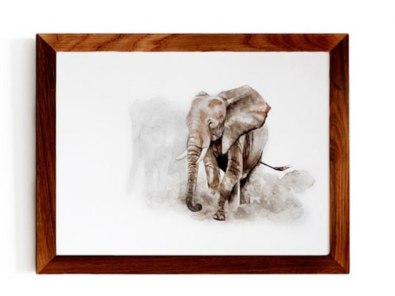 Animal Wildlife Print - The Migrations
