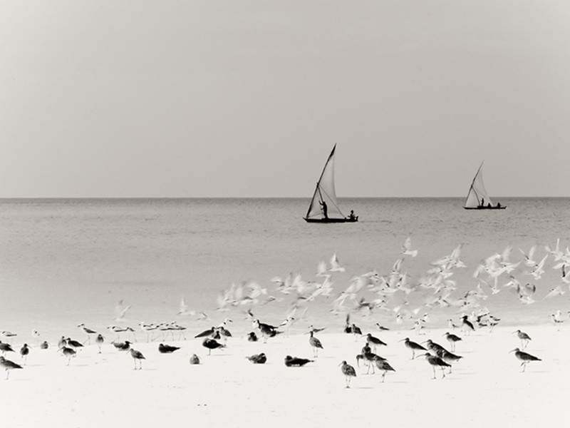 Contrasting Seas Contrasting Seas