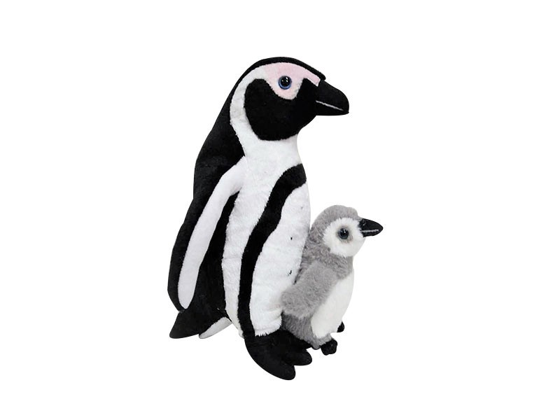 Mother And Baby African Penguin Mother And Baby African Penguin