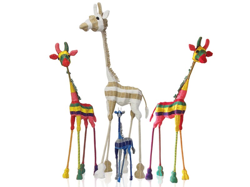 Africa in Colour Giraffe Africa in Colour Giraffe