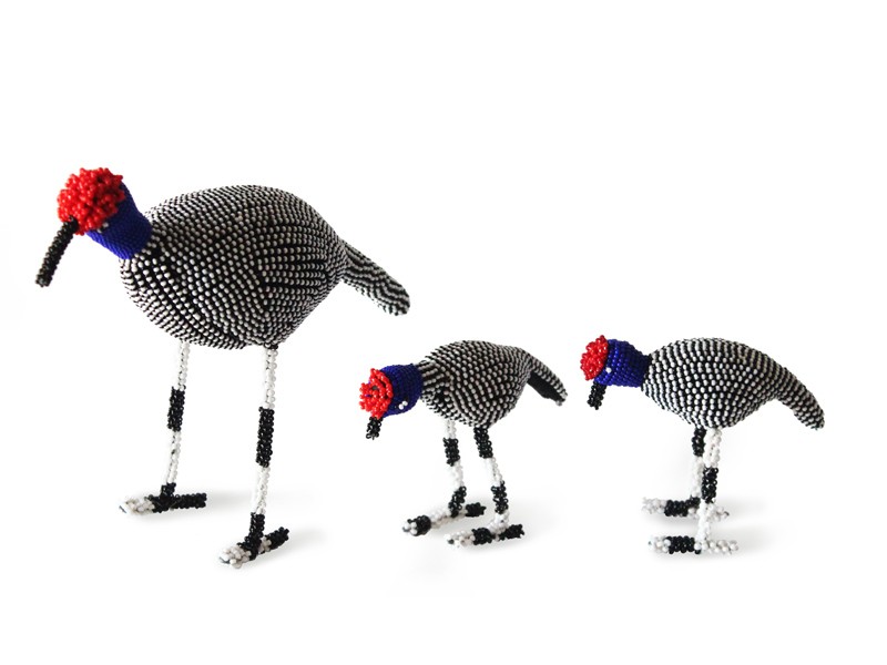 Guinea Fowl