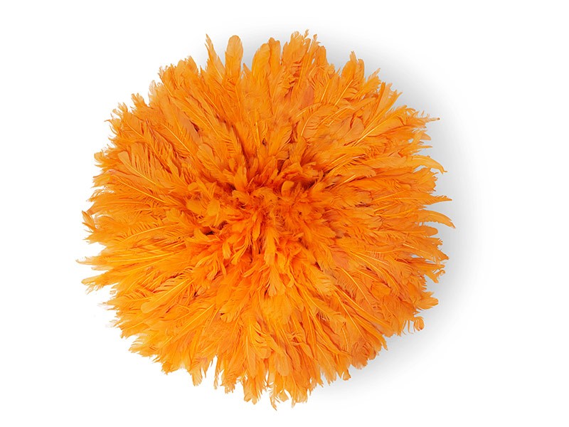 50cm Orange 50cm Orange