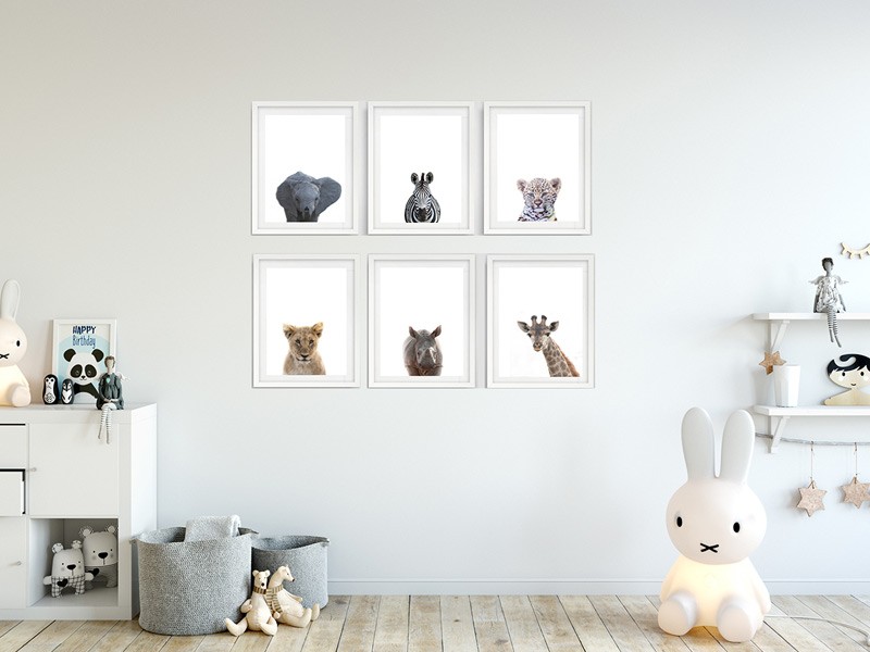 Safari Kids Room Safari Kids Room