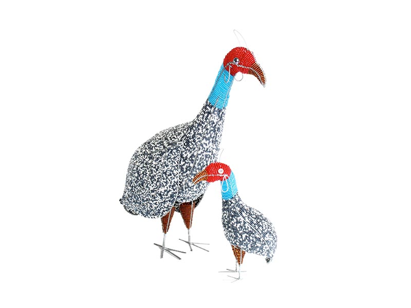 Allsorts Collection Guinea Fowl Allsorts Collection Guinea Fowl