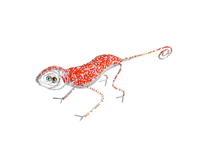 Allsorts Collection Chameleon