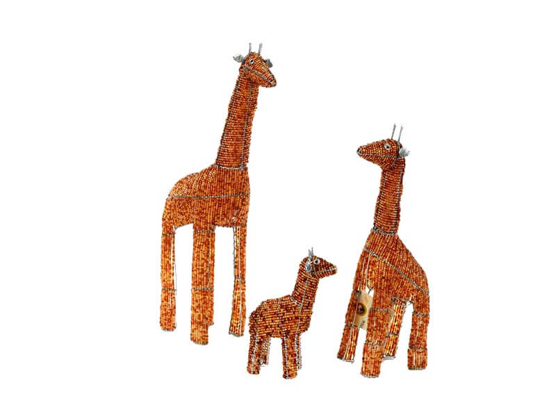 Allsorts Collection Giraffe Allsorts Collection Giraffe