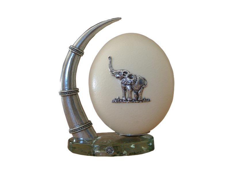 Display Stand - Tusk On Glass Base