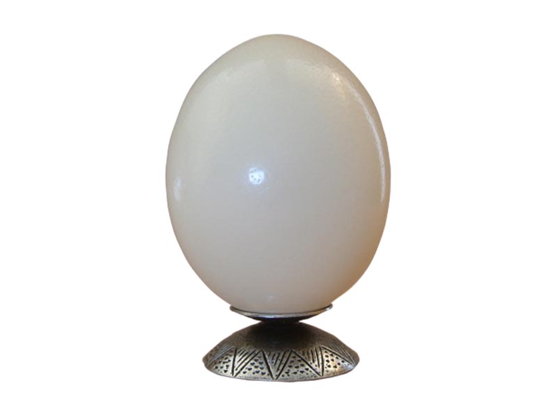 Display Stand - Ethnic Ostrich Cup