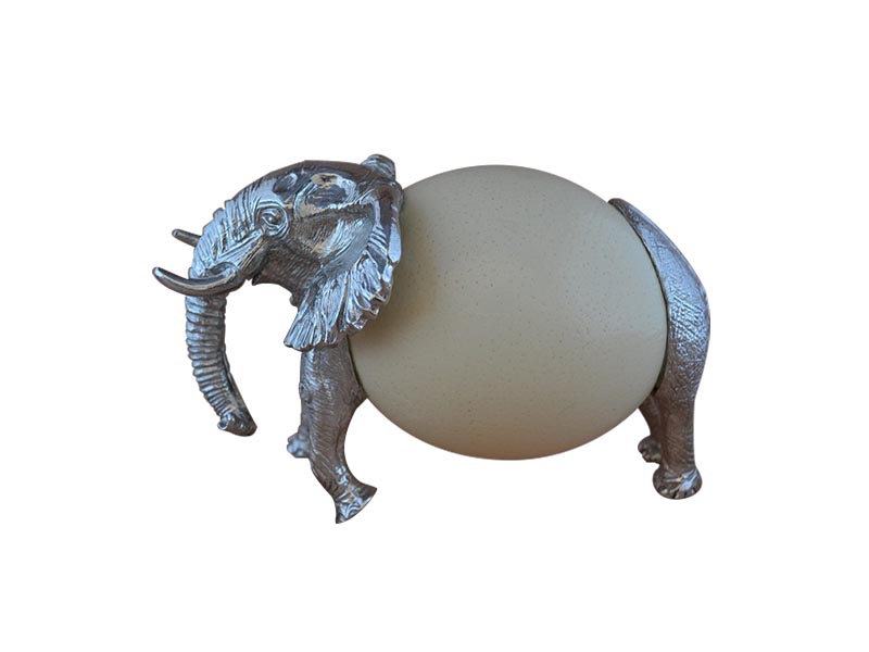 Elephant Ostrich Egg
