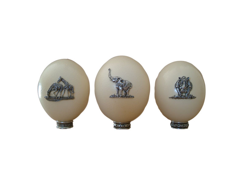 Ostrich Egg Rhino