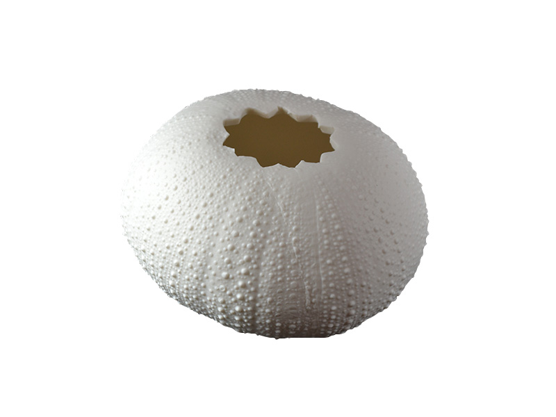 Rafiki Urchin Votive