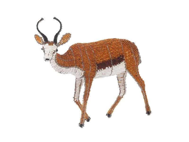 Wild At Art Springbok Wild At Art Springbok