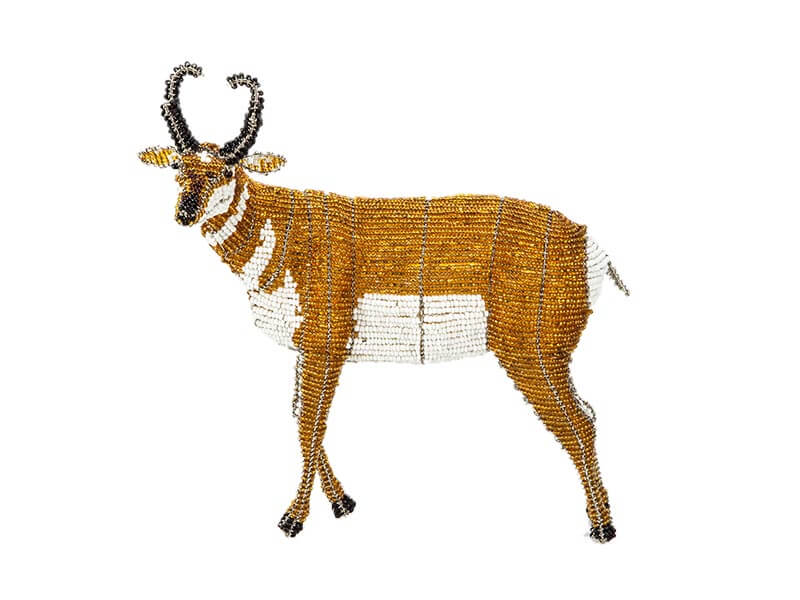 Wild At Art Pronghorn Wild At Art Pronghorn
